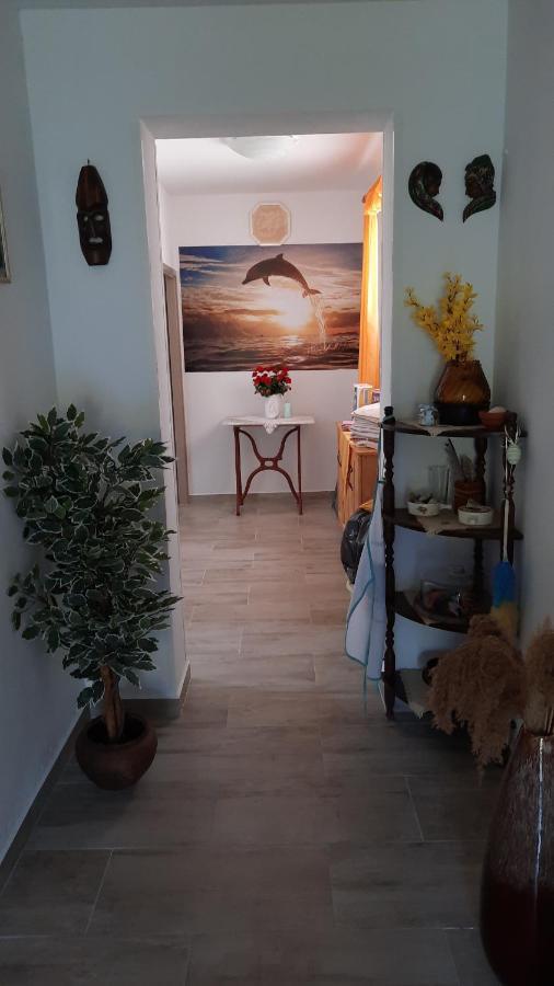 Apartment Pinoapplosinj Veli Lošinj Zewnętrze zdjęcie